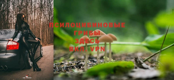 ПСИЛОЦИБИНОВЫЕ ГРИБЫ Нефтекумск