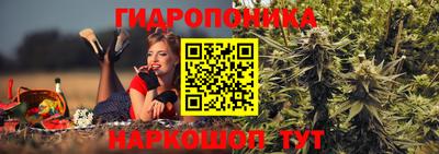 гидра Гусь-Хрустальный