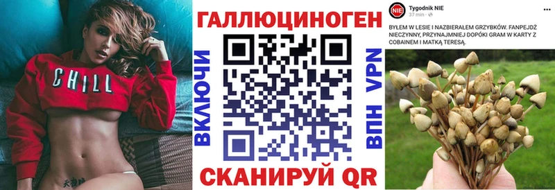 где продают наркотики Тольятти Галлюциногенные грибы прущие грибы