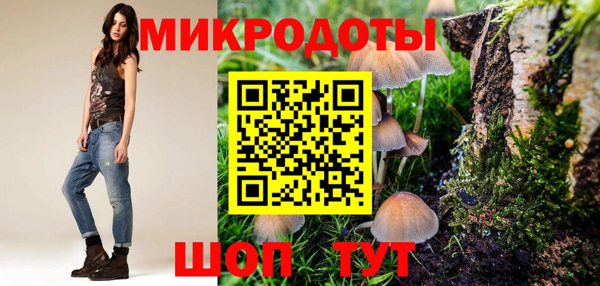 Псилоцибиновые грибы GOLDEN TEACHER  Тольятти  где купить   Псилоцибиновые грибы мухоморы 