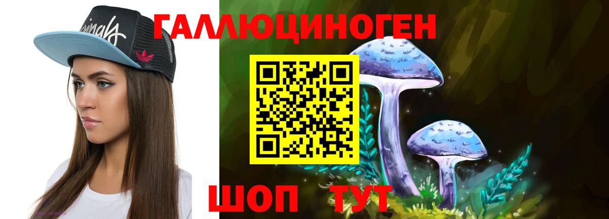 Псилоцибиновые грибы прущие грибы Тольятти